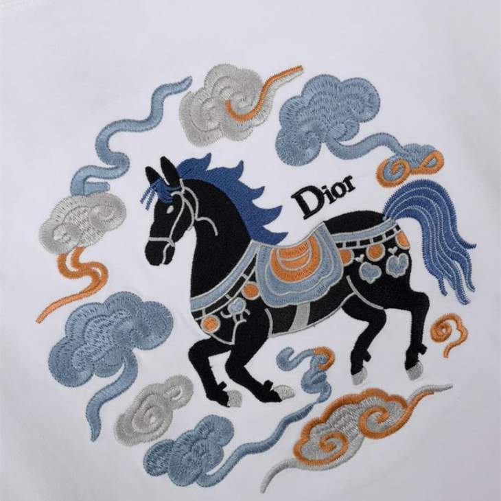 Dior T Shirts Short _SKUDiorS-2XL12yr53616152